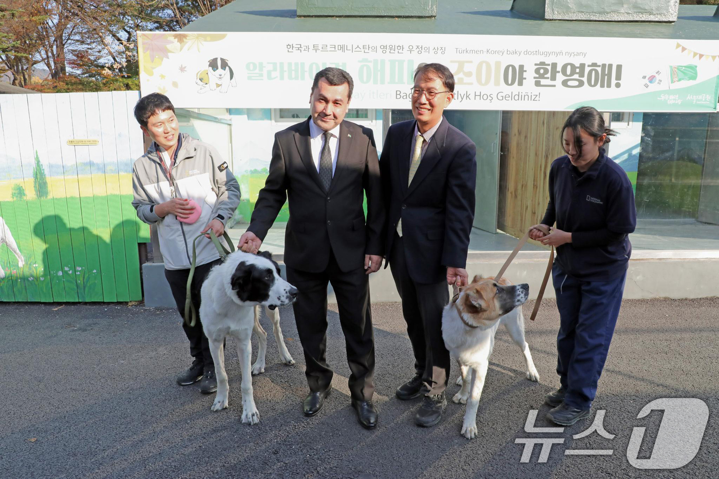 (서울=뉴스1) 송원영 기자 = 대통령실은 13일 서울대공원으로 거처를 옮긴 투르크메니스탄 국견 알라바이의 근황을 공개했다.사진은 서울대공원 환영식 모습. 왼쪽 두 번째부터 베겐치 …