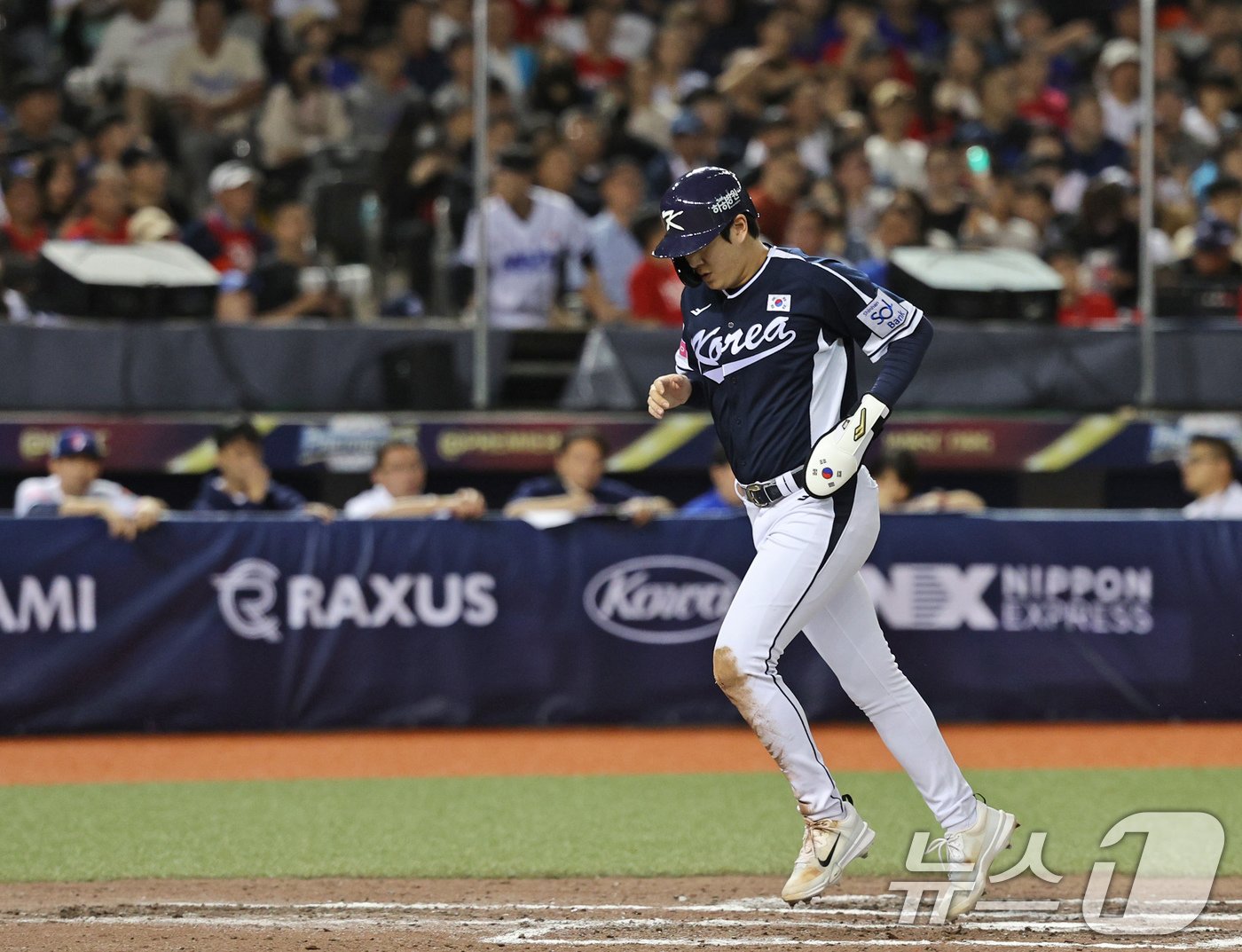 13일&#40;현지시간&#41; 오후 대만 타이베이시 타이베이돔에서 열린 2024 WBSC 프리미어12 B조 예선 대한민국과 대만의 경기, 7회초 대한민국 공격 1사 상황에서 나승엽이 솔로홈런을 친 뒤 홈을 밟고 있다. 2024.11.13/뉴스1 ⓒ News1 장수영 기자