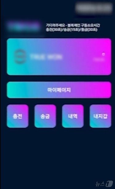 본문 이미지 - 자체 개발한 PG사(페이앱)(울산경찰청제공)