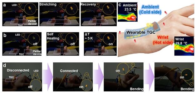 신축성 1700% 뛰어난 웨어러블 열전소자 개발