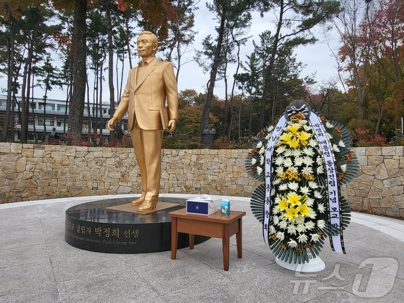 14일 오전 영남대 박정희 전 대통령 동상 앞에 탄신 107돌을 맞아 케이크와 국화가 놓여져 있다. 2024.11.14/뉴스1 ⓒ News1 이성덕 기자