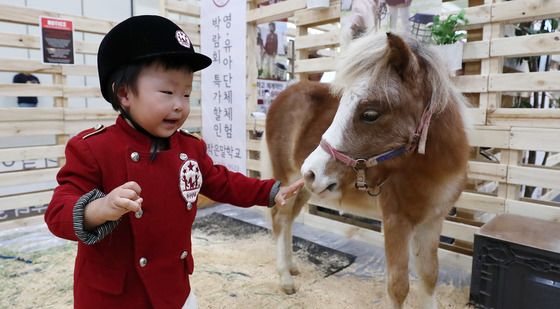 말과 인사 나누는 어린이