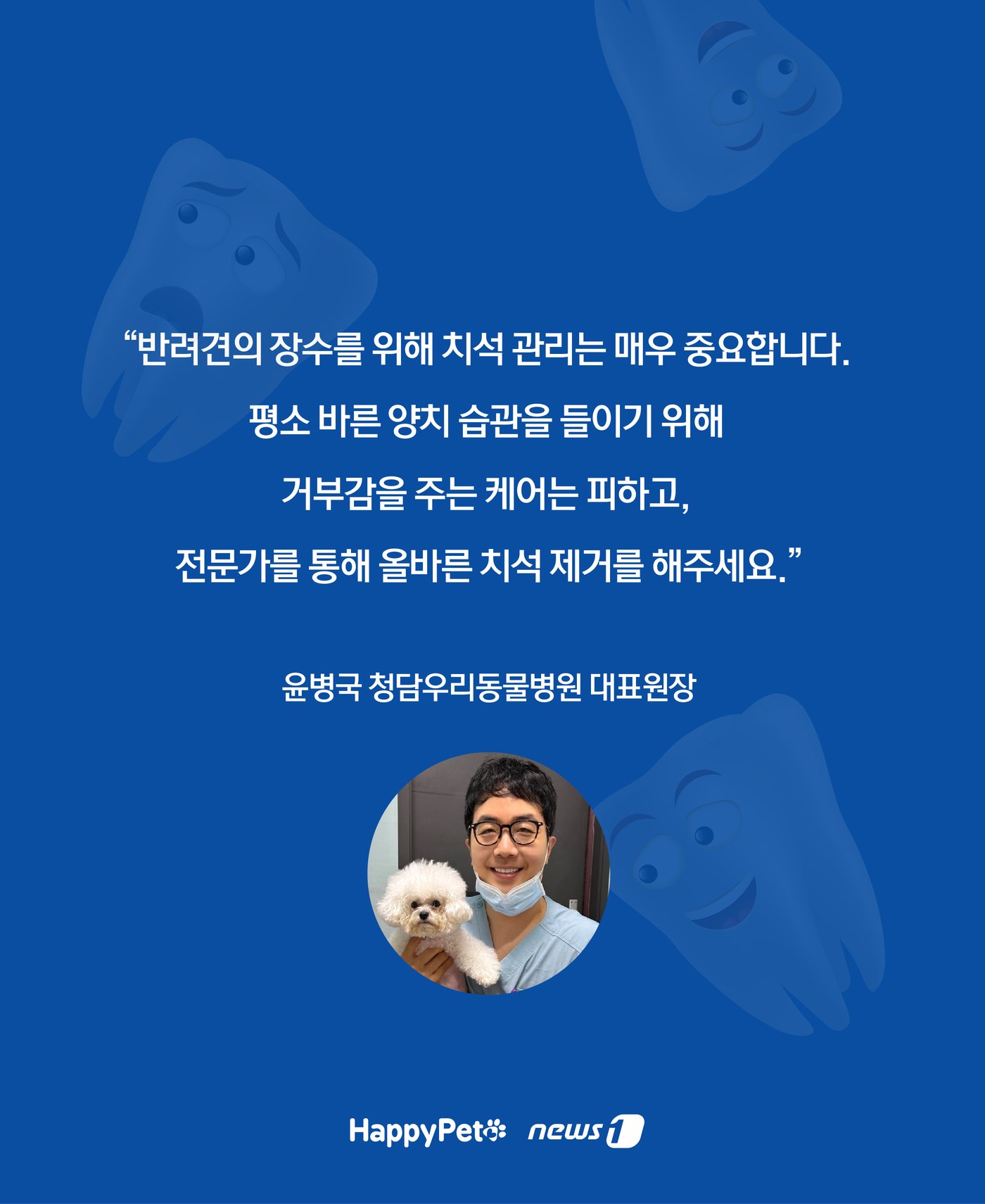 본문 이미지 - ⓒ News1 윤주희 디자이너