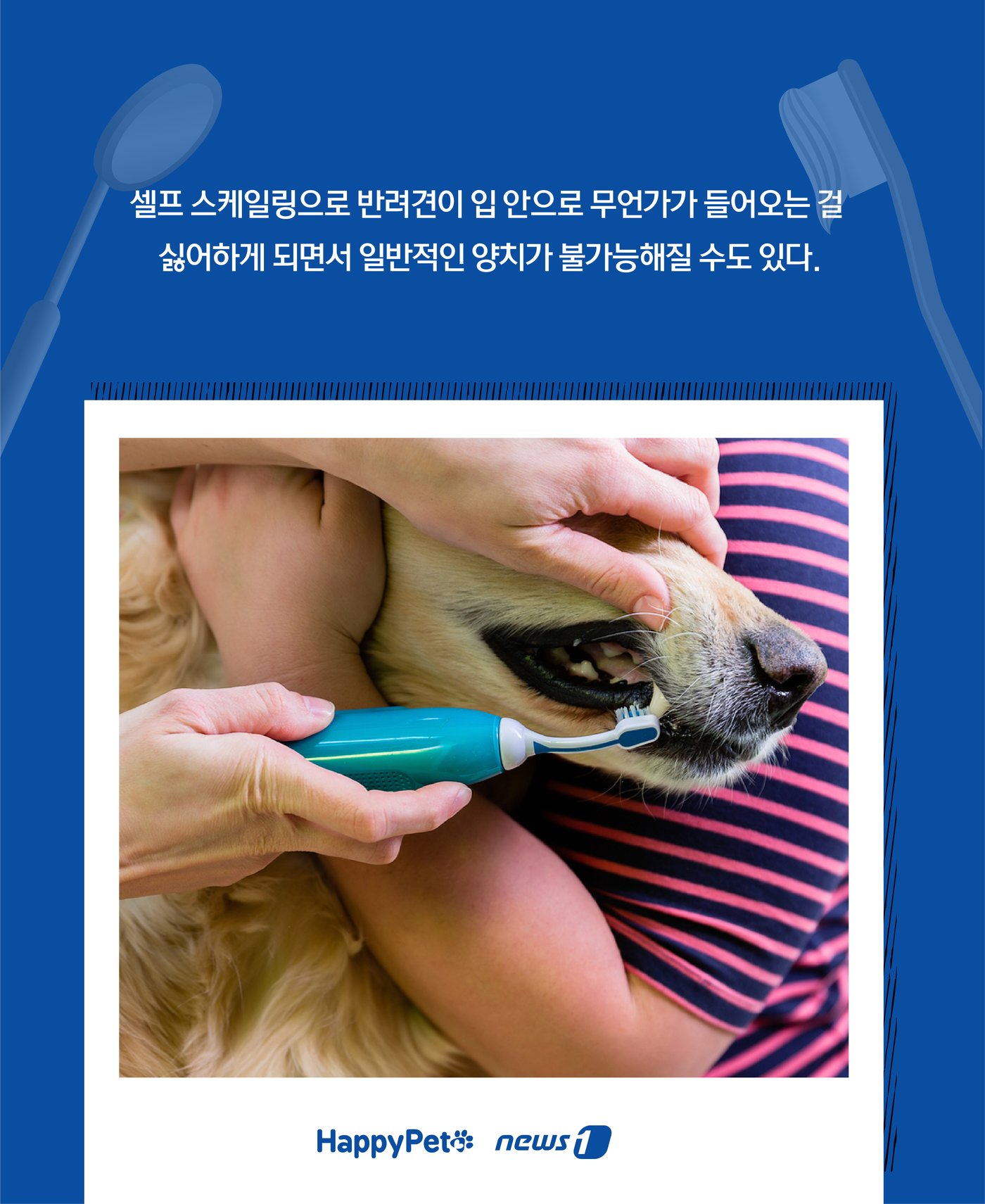 본문 이미지 - ⓒ News1 윤주희 디자이너