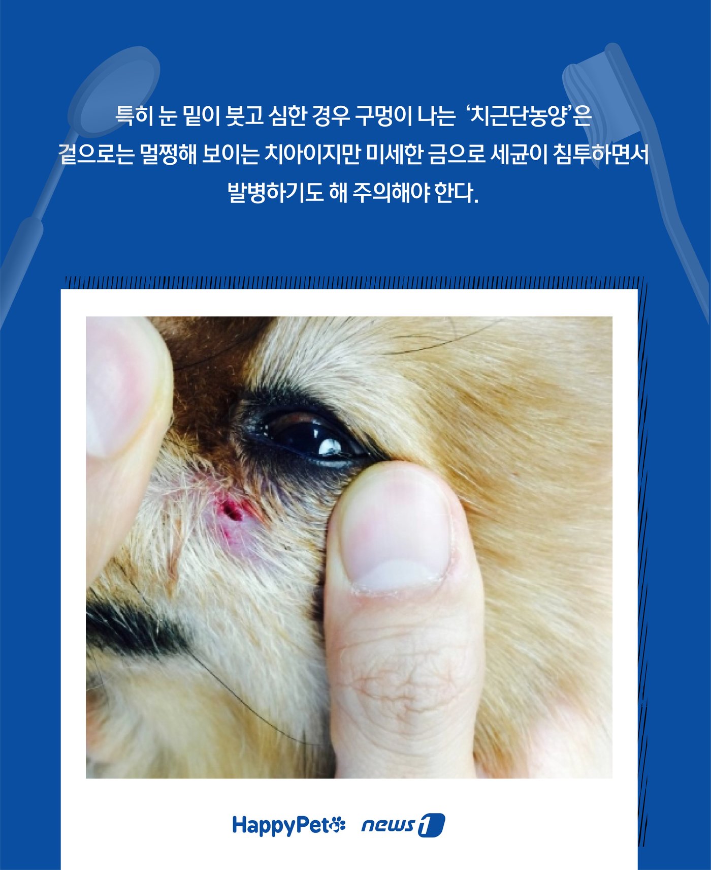 본문 이미지 - ⓒ News1 윤주희 디자이너