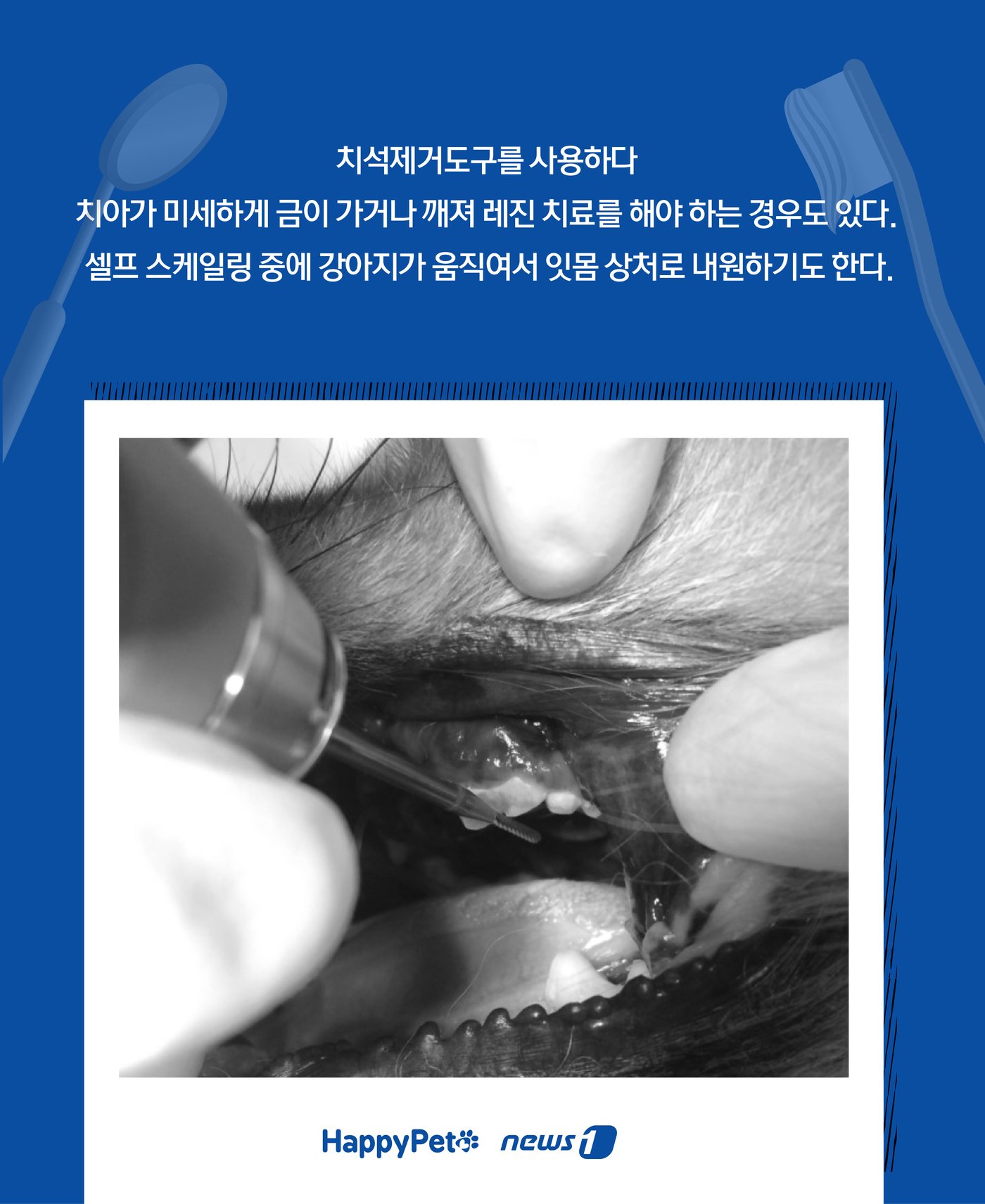 본문 이미지 - ⓒ News1 윤주희 디자이너