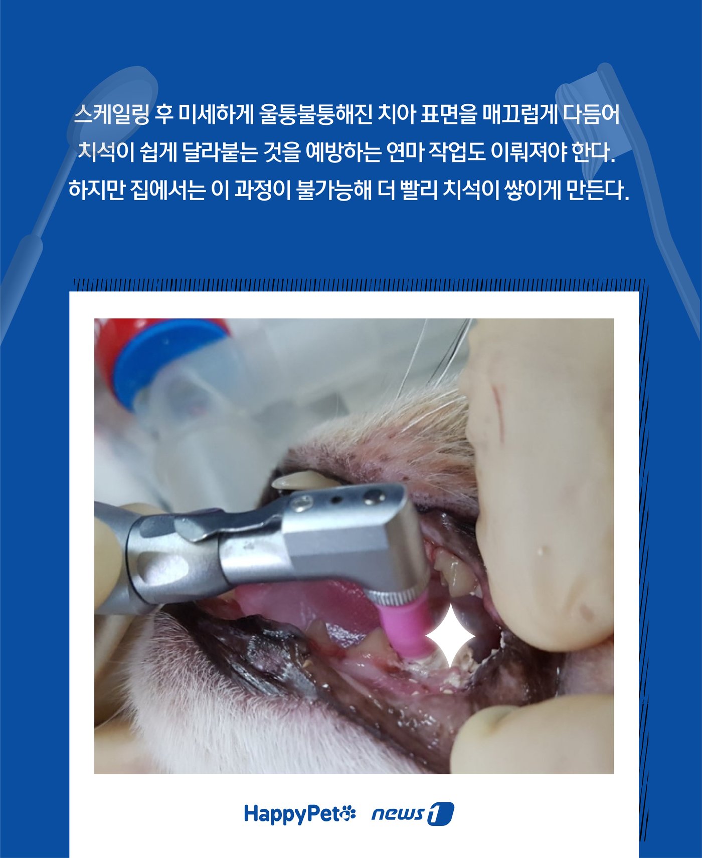 본문 이미지 - ⓒ News1 윤주희 디자이너