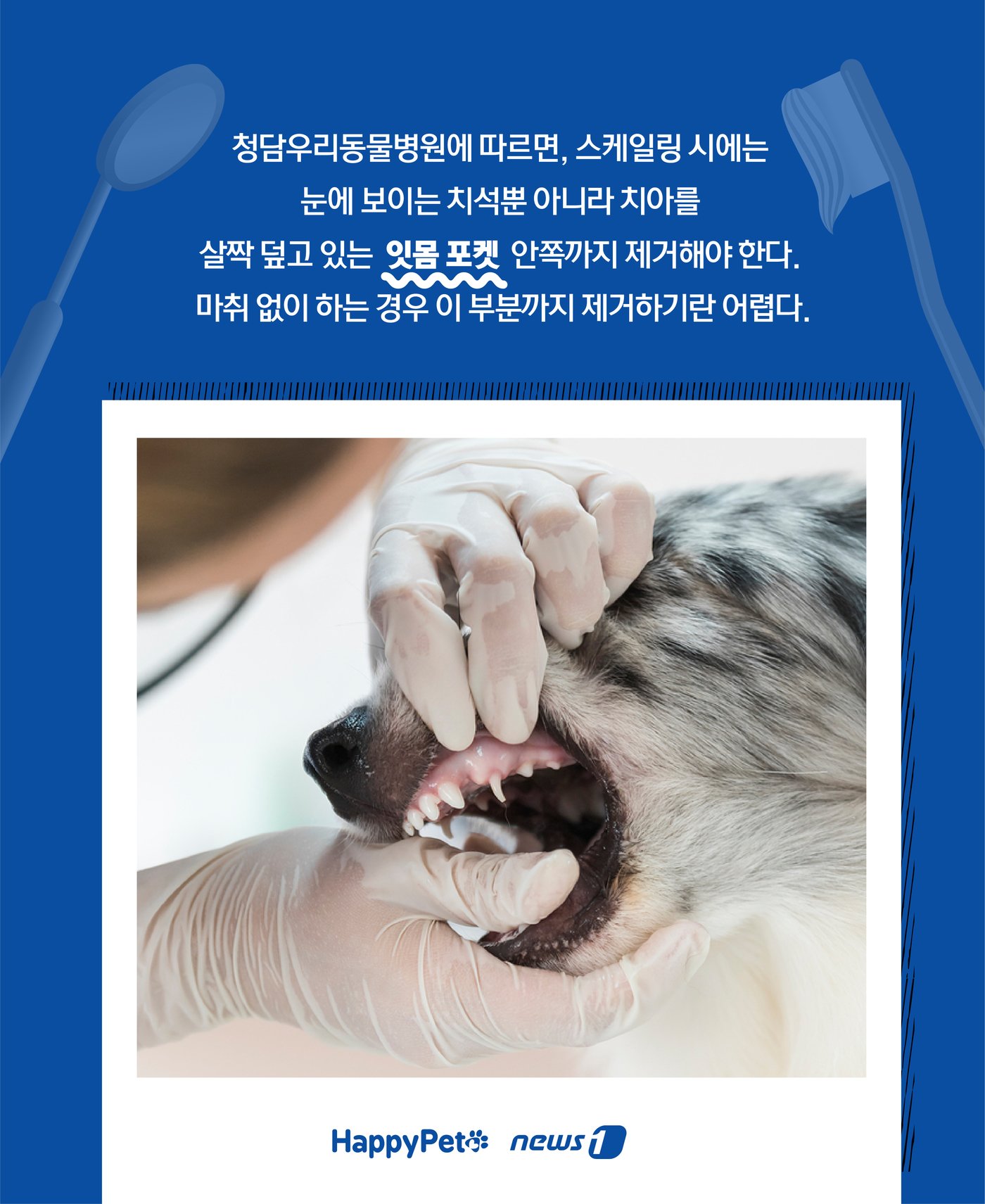 본문 이미지 - ⓒ News1 윤주희 디자이너