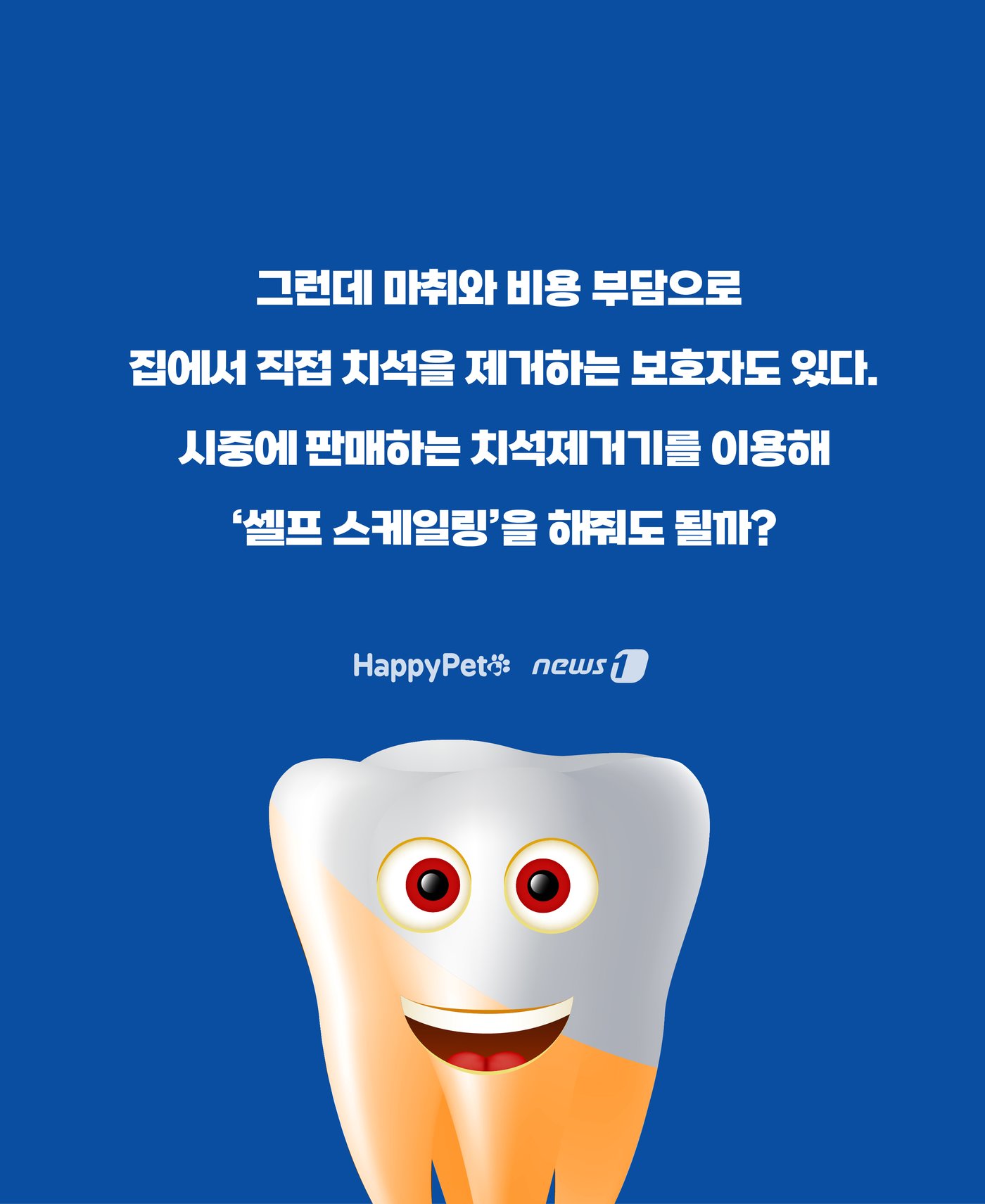 본문 이미지 - ⓒ News1 윤주희 디자이너