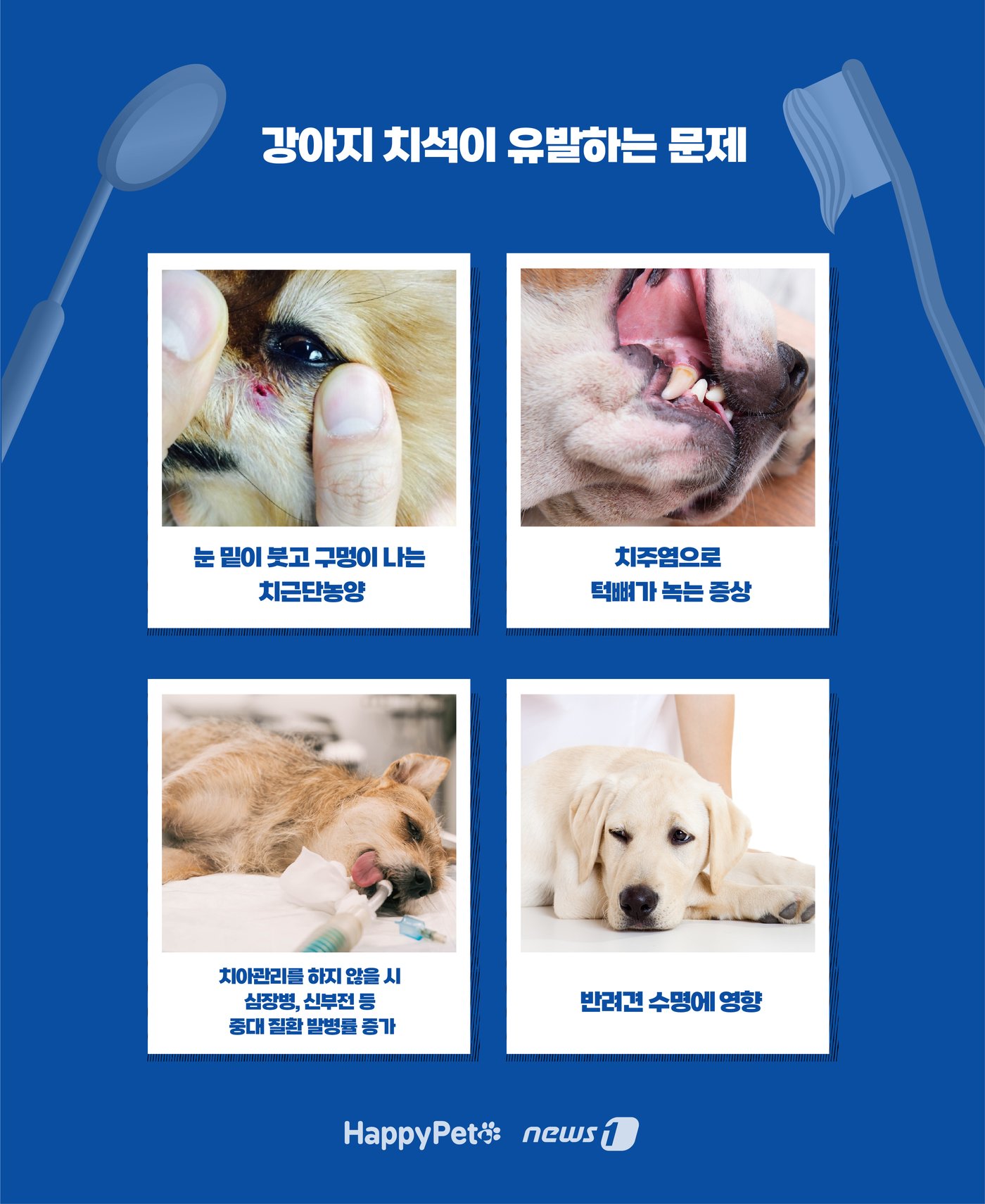 본문 이미지 - ⓒ News1 윤주희 디자이너