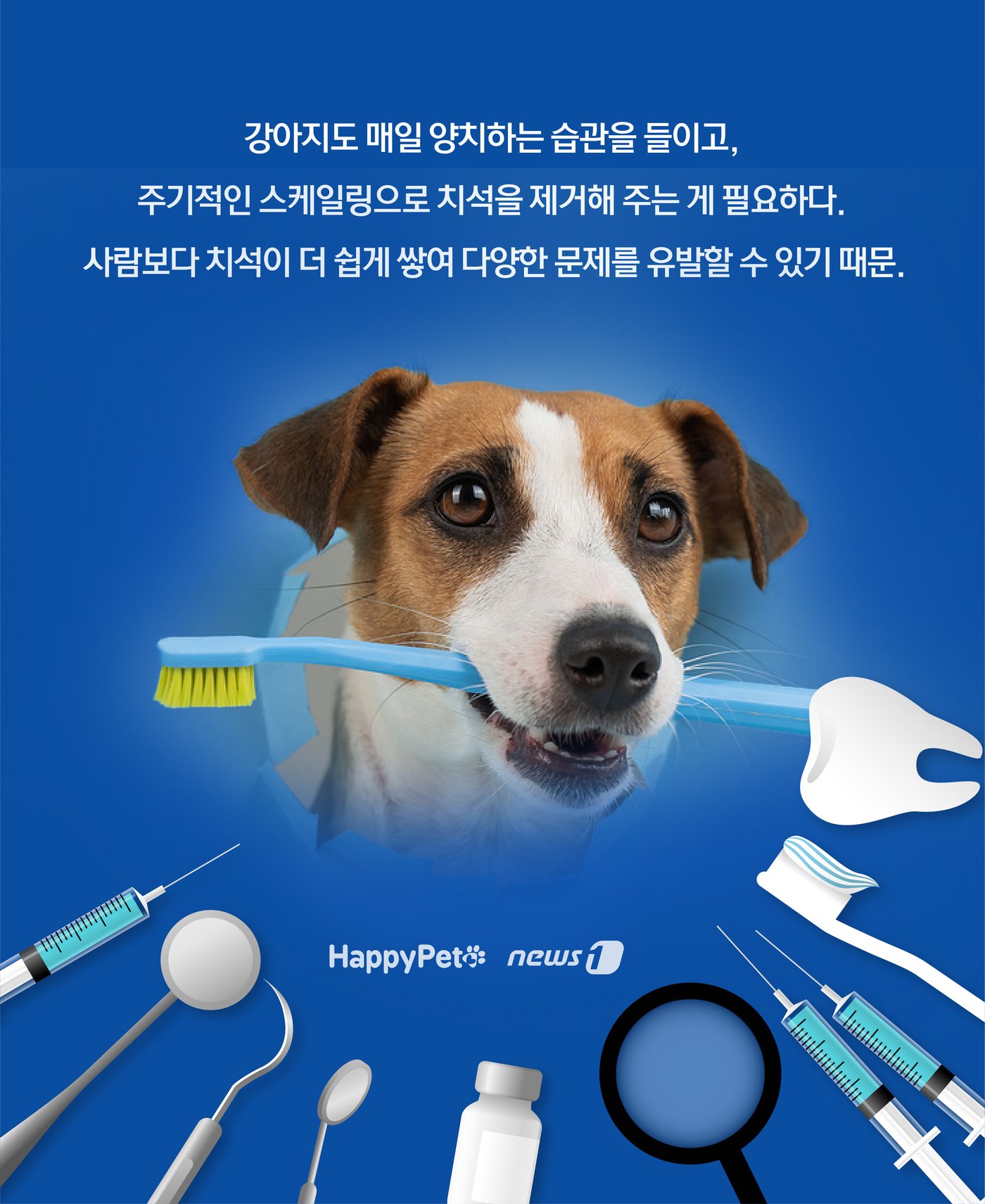 본문 이미지 - ⓒ News1 윤주희 디자이너