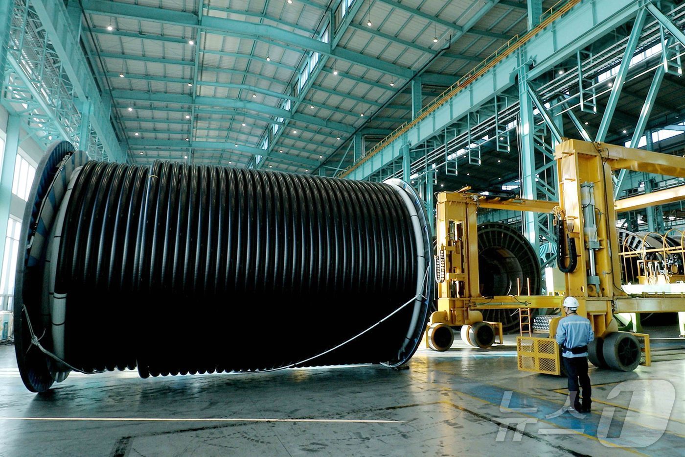 본문 이미지 - 대한전선이 초-장조장 지중 케이블을 생산하고 있다.(대한전선 제공) ⓒ News1 한재준 기자