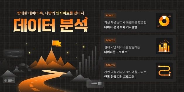 2024 멋쟁이사자처럼 데이터 분석 부트캠프 4기 모집