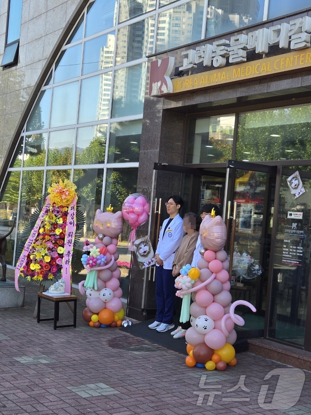 본문 이미지 - 고려동물메디컬센터는 최근 환묘 퇴원식을 진행했다(동물병원 제공). ⓒ 뉴스1