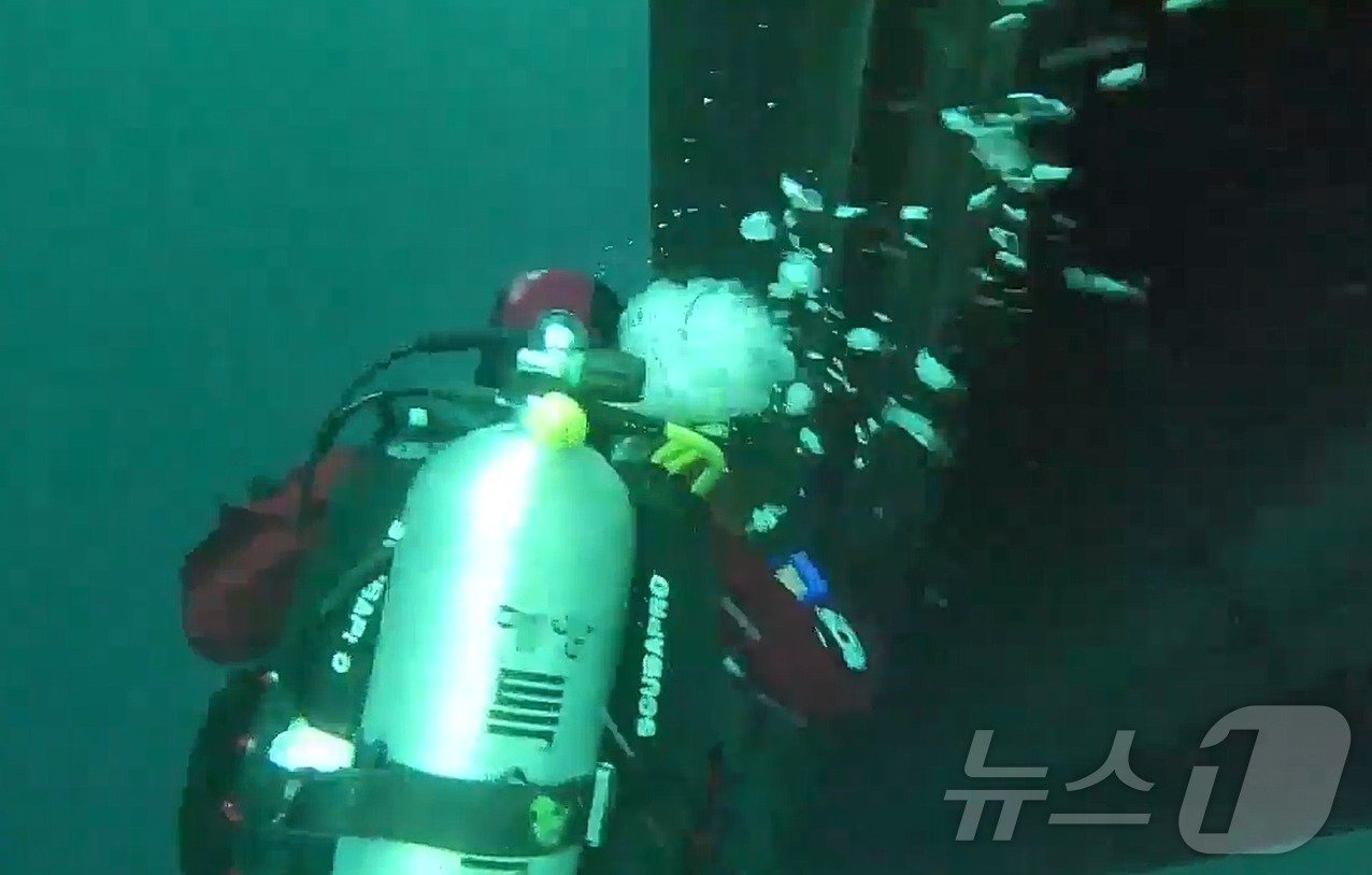 본문 이미지 - 해경 중앙해양특수구조단이 15일 오전 '135금성호(부산선적·129톤)'가 침몰한 제주 비양도 북서쪽 22㎞ 인근 수심 약 30m 바닷속에서 그물 사이를 들여다보며 수색하고 있다.(제주해양경찰청 제공)2024.11.15/뉴스1 ⓒ News1 홍수영 기자