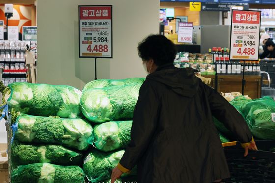 앞자리 바꾼 태백 배추…결국 김장 재료 가격도 '40만 원↑'