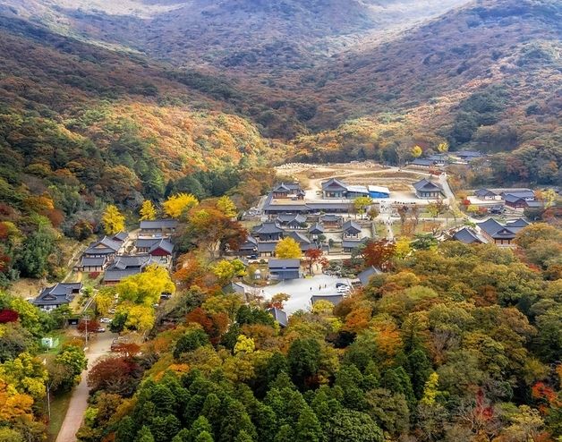 "마지막 단풍 머무는 해남 두륜산·달마산서 만추를"