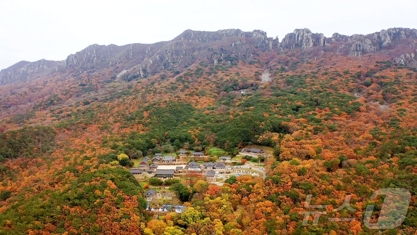 해남 달마산 전경 &#40;해남군 제공&#41;/뉴스1 