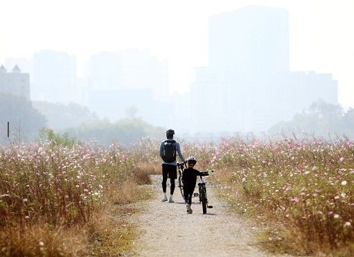 "나와 지구를 지키는 습관"…자전거 활성화 공모전 수상작 발표