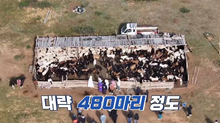 본문 이미지 - 채널S, SK브로드밴드, K·star, AXN