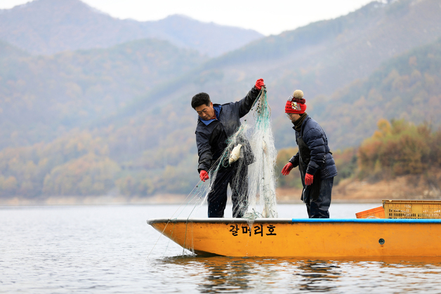 영동군, 31일까지 내수면 어업허가 희망자 접수