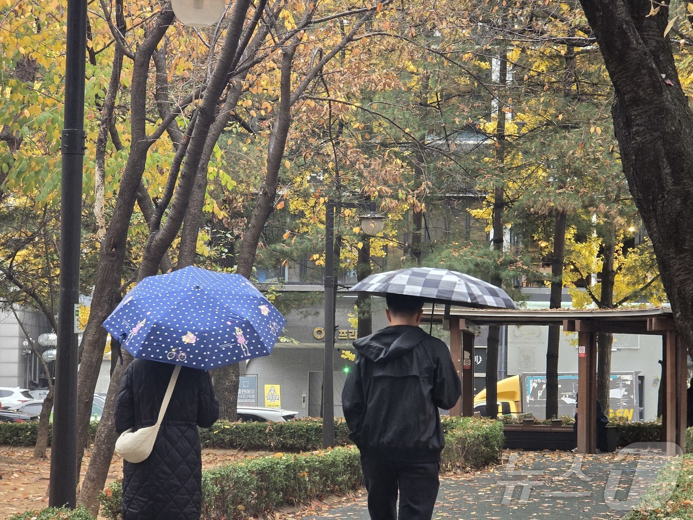 (고양=뉴스1) 황덕현 기후환경전문기자 = 16일 경기 고양 덕양구 화정역 인근에 가을비가 내리고 있다. 2024.11.16/뉴스1