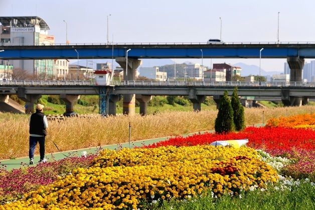 [오늘의 날씨] 충북·세종(17일, 일)…낮 기온 전날보다 10도 떨어져