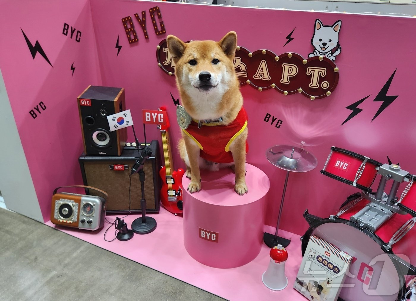 본문 이미지 - 15일 '2024 메가주'가 열린 킨텍스에 설치된 BYC 포토존 ⓒ 뉴스1 한송아 기자