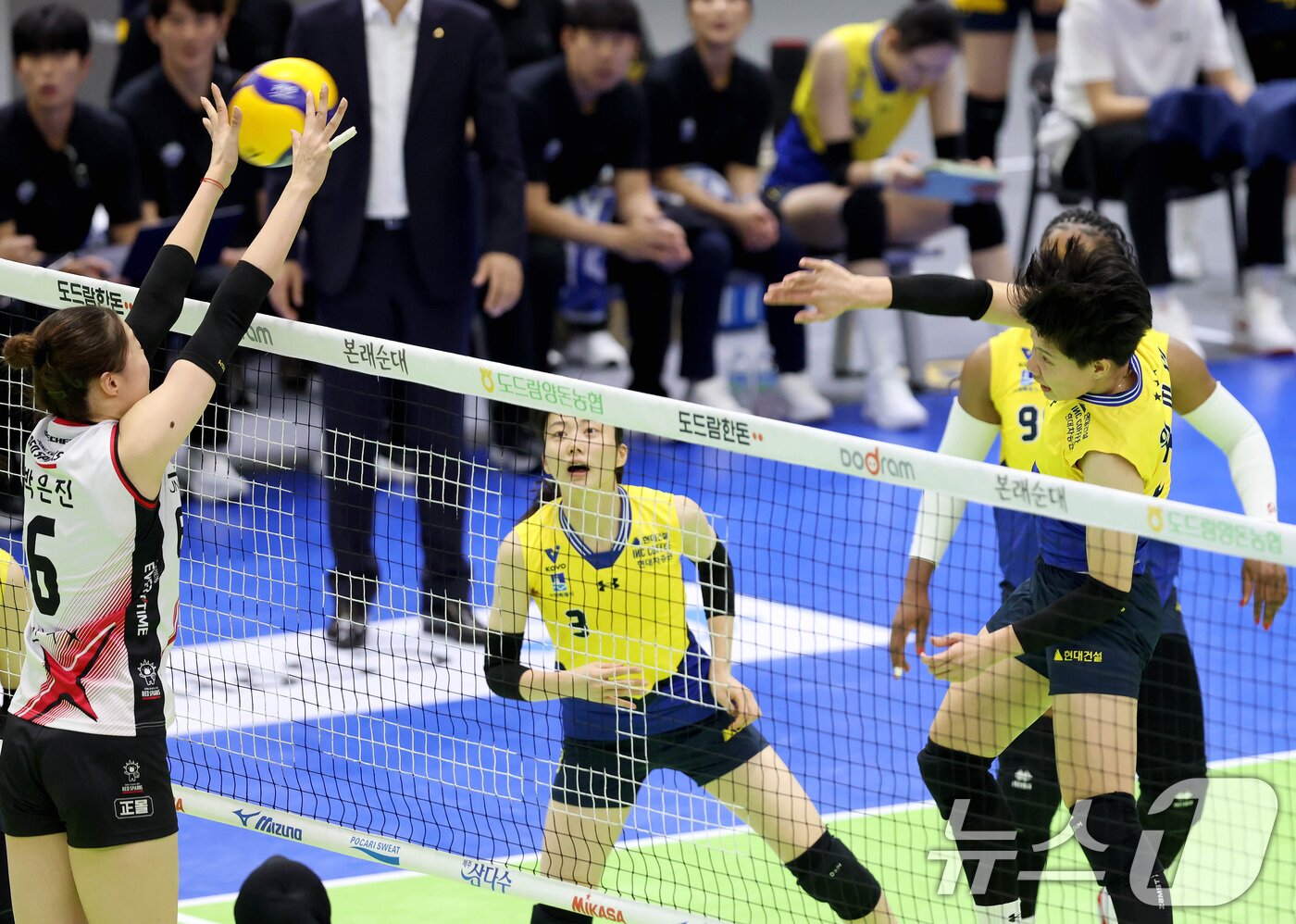 본문 이미지 - 현대건설 위파위가 16일 수원실내체육관에서 열린 2024-25 도드람 V리그 여자부 현대건설과 정관장과의 경기에서 스파이크를 하고 있다. &#40;현대건설 배구단 제공&#41; 2024.11.16/뉴스1