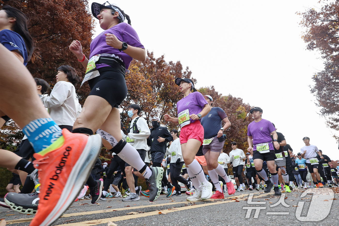 (서울=뉴스1) 민경석 기자 = 17일 오전 서울 마포구 상암 월드컵공원 평화광장에서 열린 '2024 손기정 평화마라톤' 10.5km 코스에 참가한 시민들이 힘차게 출발하고 있다. …