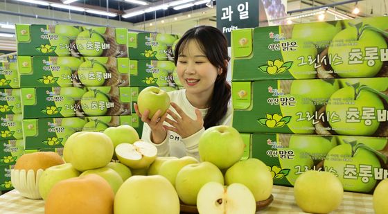 신품종 배 '그린시스' 맛보세요