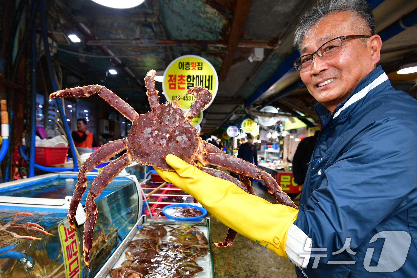 (포항=뉴스1) 최창호 기자 = 17일 경북 포항시 죽도어시장에서 상인이 킹크랩을 들어 보이고 있다. 2024.11.17/뉴스1