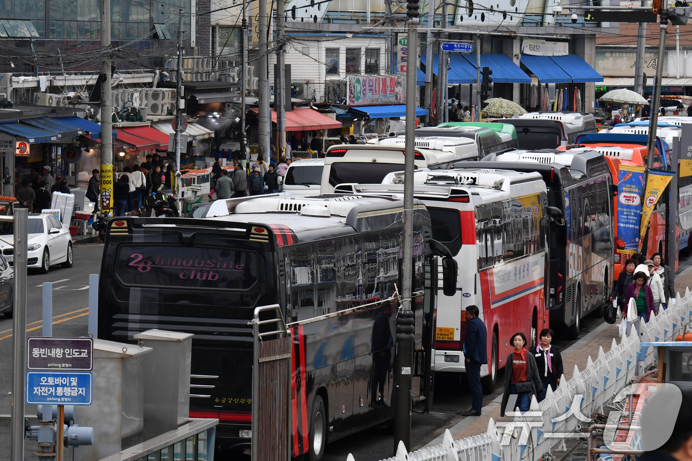 (포항=뉴스1) 최창호 기자 = 17일 경북 포항시 죽도어시장 주차장에 제철을 맞은 대게와 과매기 등을 맛보기 위해 전국에서 달려온 관광버스들로 가득차 있다. 2024.11.17/ …