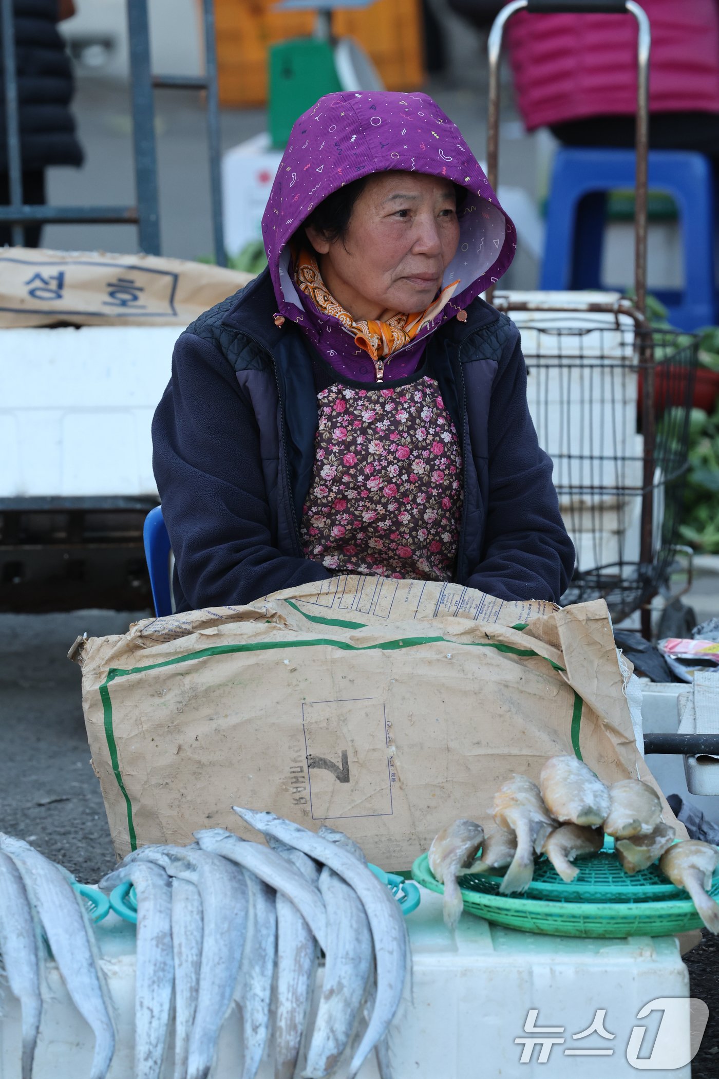 18일 아침기온이 큰 폭으로 떨어지면서 올들어 가장 추운 날씨를 보인 광주 남광주시장에서 한 상인이 포장지를 덮고 추위를 피하고있다.2024.11.18/뉴스1 ⓒ News1 김태성 기자