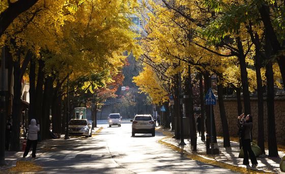 [오늘의 날씨]울산(19일, 화)…최저 5도, 풍랑주의보 "항해 선박 유의"