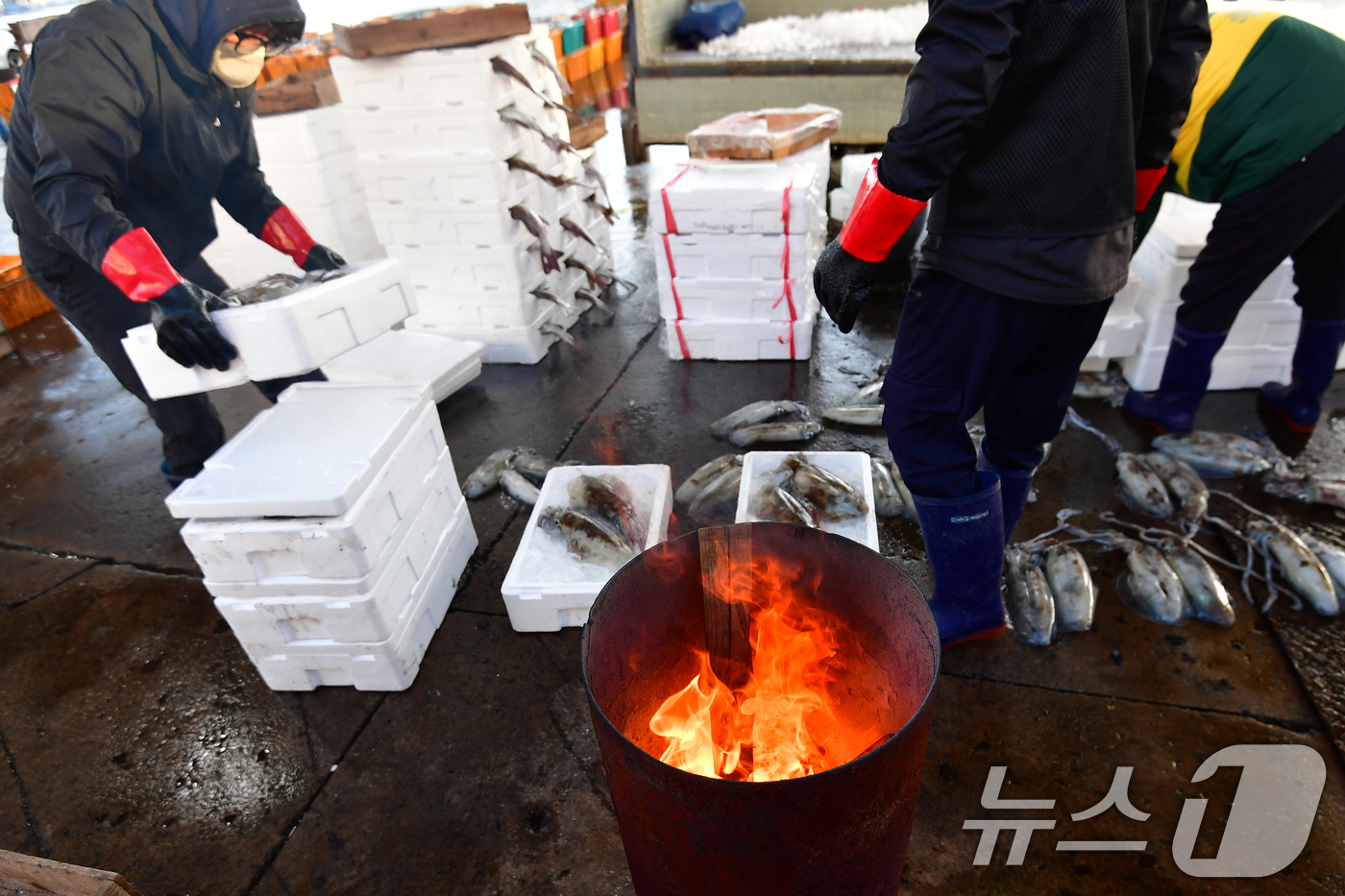 (포항=뉴스1) 최창호 기자 = 경북 포항시 아침 최저기온이 4도(체감기온 1도)까지 떨어진 18일 죽도어시장에서 상인들이 모닥불을 피워놓고 있다. 2024.11.18/뉴스1