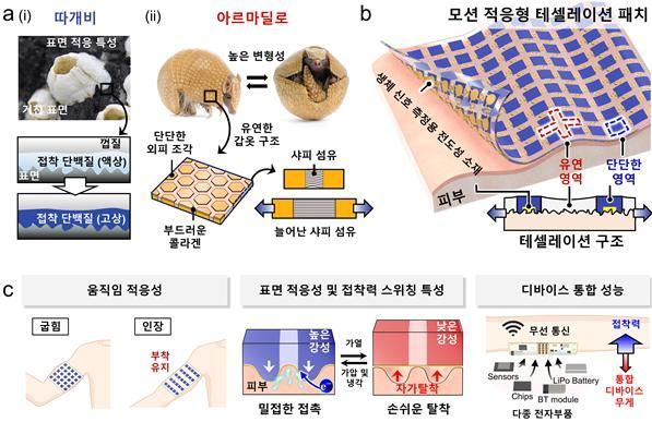 UNIST, 접착성·탈착성·신축성 뛰어난 '피부 패치' 개발