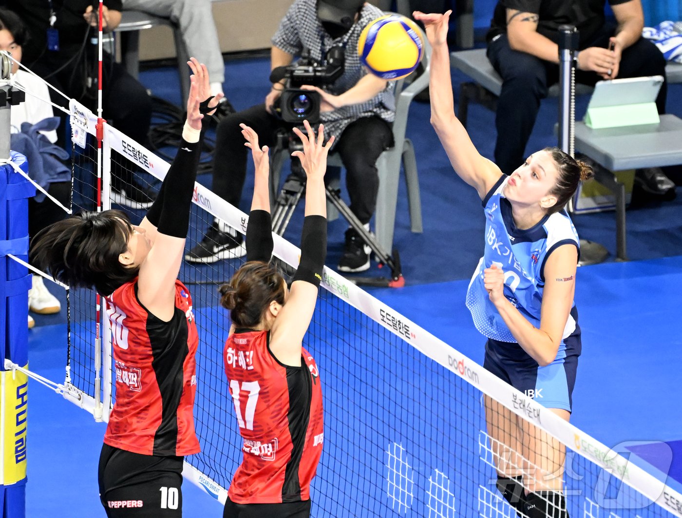 본문 이미지 - IBK기업은행의 에이스 빅토리아 댄착. (KOVO 제공)