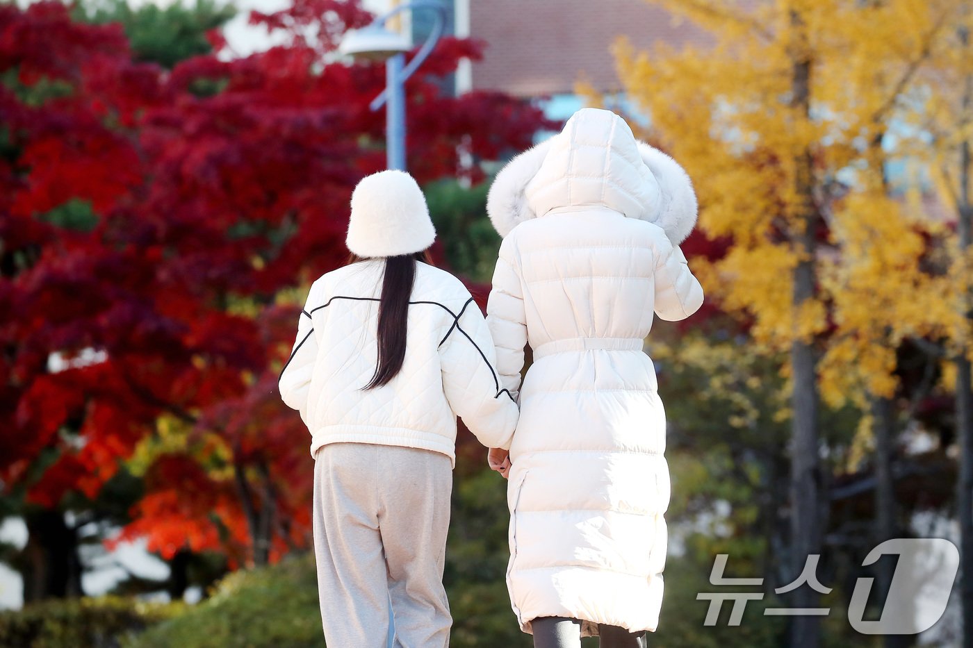본문 이미지 - 하루 사이 기온이 크게 떨어진 18일 오전 대구 북구 영진전문대에서 두꺼운 겨울옷을 챙겨입은 학생들이 빨간 단풍과 노란 은행나무 아래를 지나 강의실로 향하고 있다. 2024.11.18/뉴스1 ⓒ News1 공정식 기자