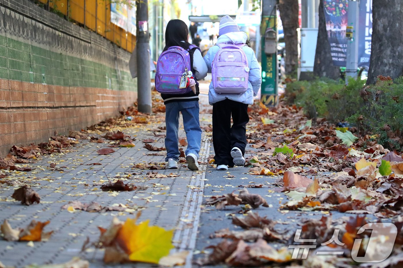 본문 이미지 - 하루 사이 기온이 크게 떨어진 18일 오전 대구 도심의 한 초등학교 앞에서 겨울옷을 챙겨입은 학생들이 낙엽이 뒹구는 등굣길을 지나고 있다. 2024.11.18/뉴스1 ⓒ News1 공정식 기자