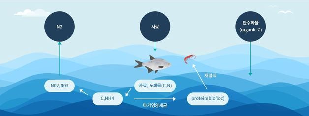 어촌어항공단, 29일까지 흰다리새우 바이오플락 초급과정 주말 교육생 모집