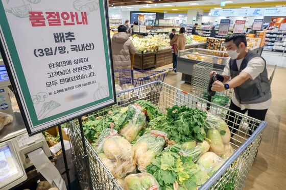 "김치대란 또 오나"…김치업계, '폭염·8월 고비'에 수급 비상 대응