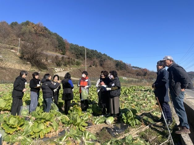 충북농관원, 배추·마늘 등 김장 채소류 농약성분 안전성 검사