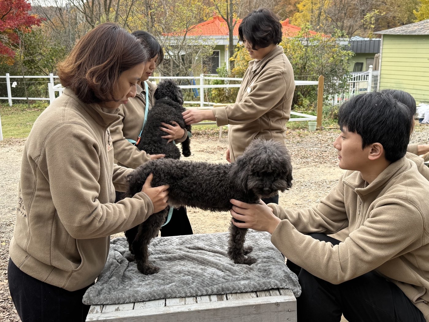 VIP동물한방재활의학센터 바이 닥터&#40;by Dr.&#41; 신사경 임직원이 최근 워크숍을 진행하고 의료봉사활동을 펼쳤다. &#40;동물병원 제공&#41; ⓒ 뉴스1