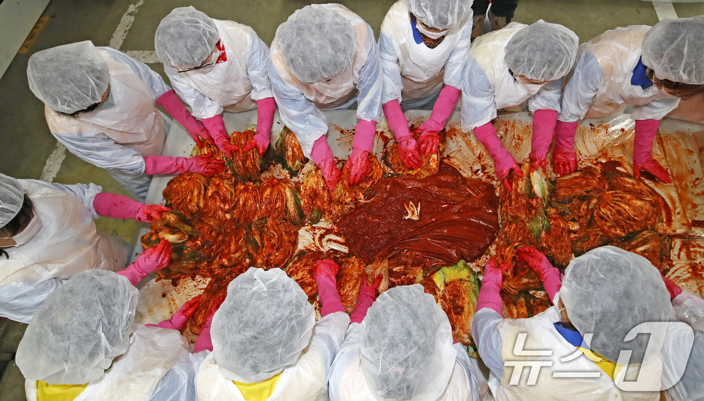 (부산=뉴스1) 윤일지 기자 = 19일 오전 부산진구 대한적십자사 부산지사에서 대한적십자봉사회 부산진구지구협의회 봉사원들이 김장을 담그고 있다.이날 정성스레 담근 김장김치 450㎏ …