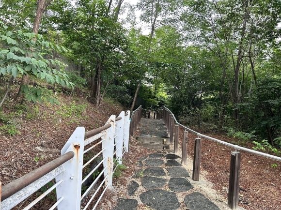 종로구, 국립 맹학교 뒷산에 시각장애 학생 숲 체험장 조성