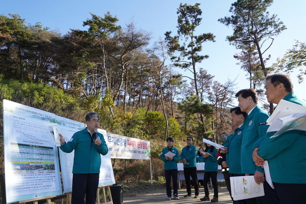 산림청, 재선충병 극심 7개 시·군 집중 점검…전국 피해 58% 차지