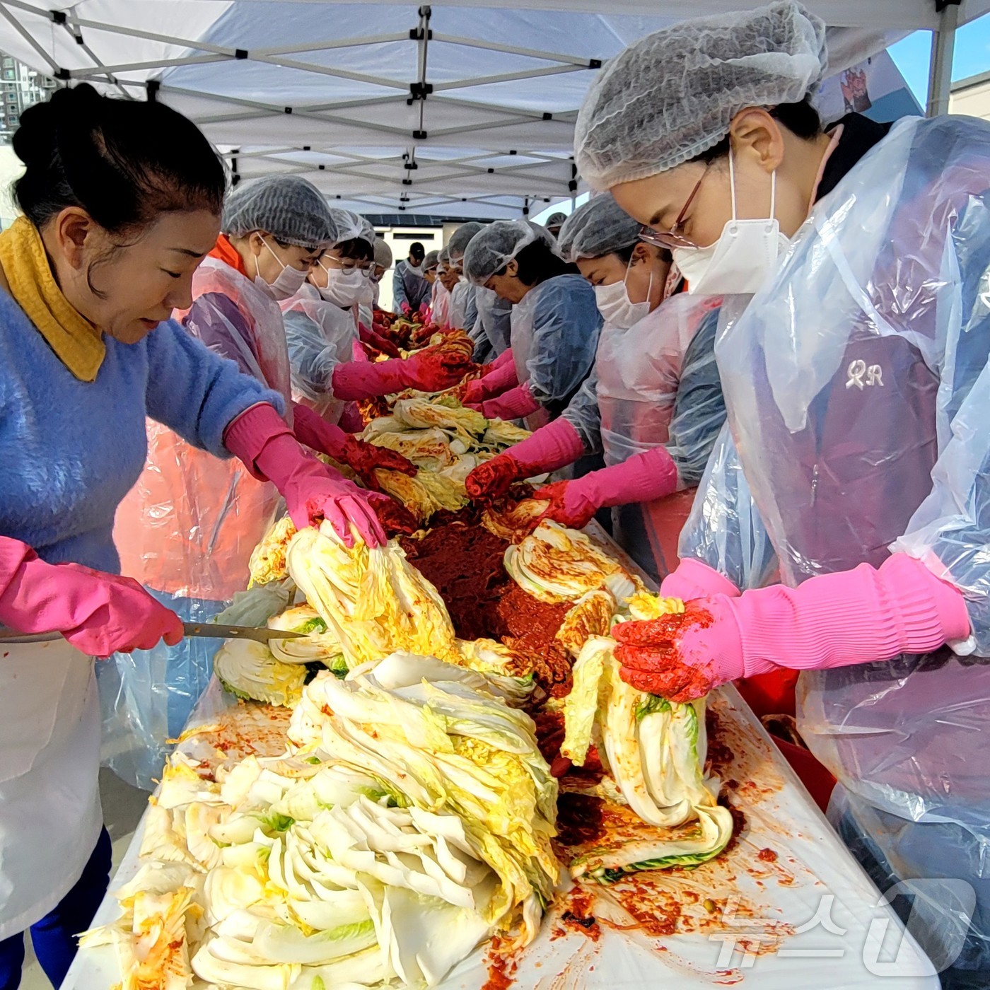 (광주=뉴스1) 이승현 기자 = 광주 광산구자원봉사센터 관계자들이 19일 온기를 나누는 '사랑愛 김장' 행사에서 직접 김치를 담그고 있다. (광산구자원봉사센터 제공) 2024.11 …