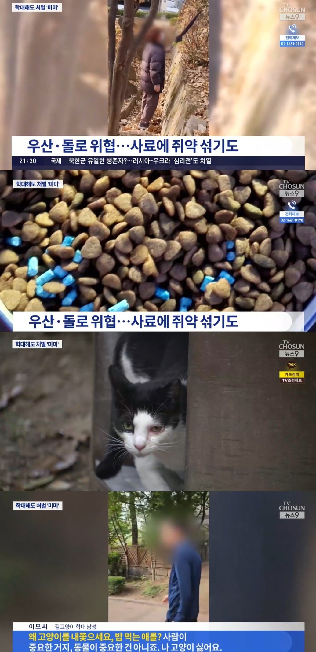 &#40;TV조선 갈무리&#41;