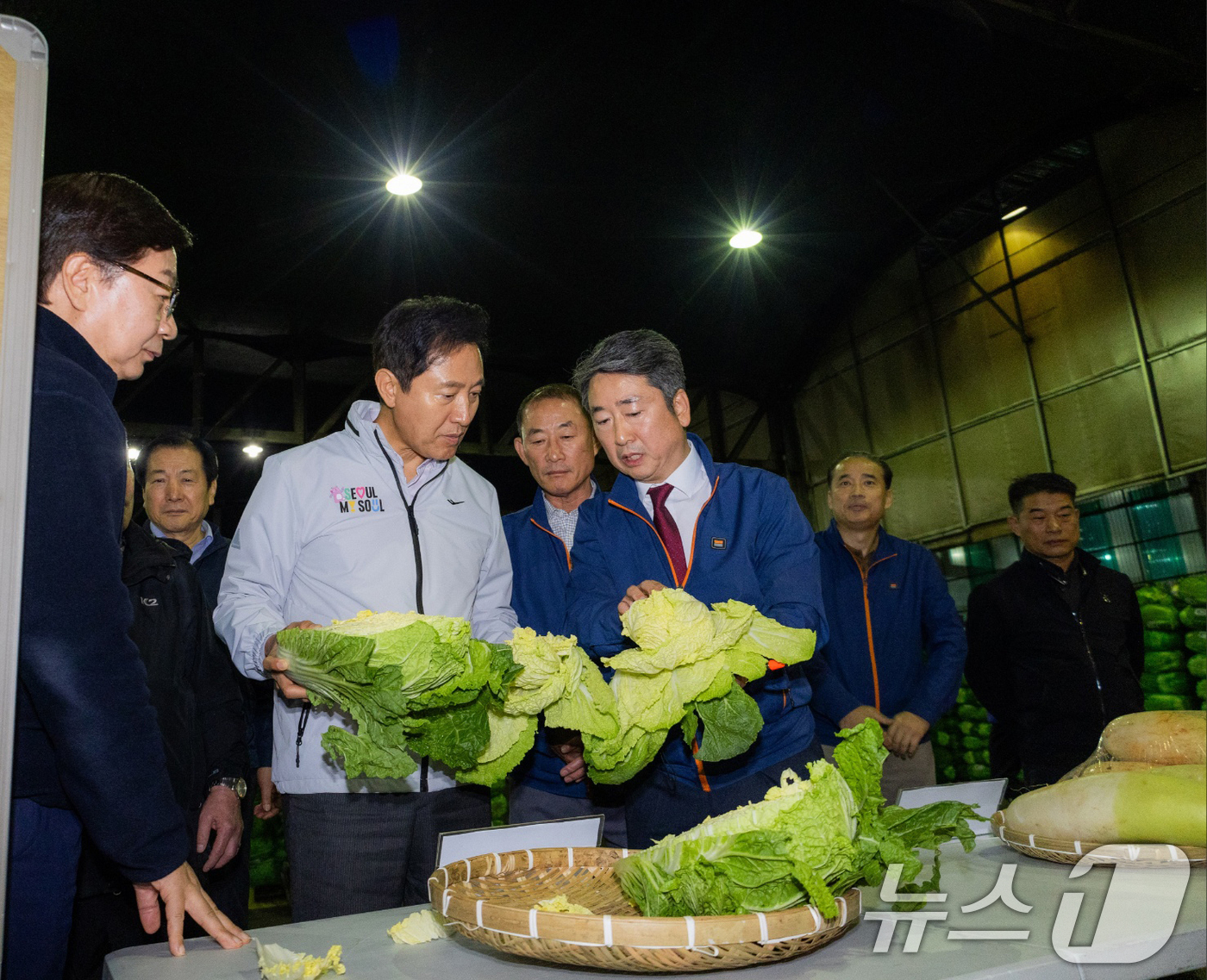 (서울=뉴스1) 이승배 기자 = 오세훈 서울시장이 지난 1일 밤 서울 송파구 가락시장 경매장을 찾아 배추를 살펴보고 있다. (서울시 제공) 2024.11.2/뉴스1